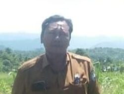 Alsintan Terbatas, Tarif Bajak Sawah di Abdya Tinggi