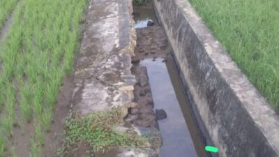 Beton Riol Jaringan Irigasi Ujong Batu Labuhanhaji Nyaris Roboh