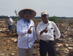 Tanam Perdana Kebun Sawit Hulu Targetkan 20 Ton/Hektar