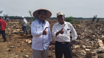Tanam Perdana Kebun Sawit Hulu Targetkan 20 Ton/Hektar