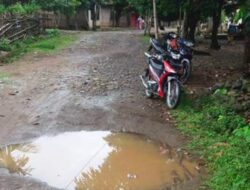 Jalan Usaha Tani Gampong Aur Labuhan Haji Timur Butuh Pengaspalan