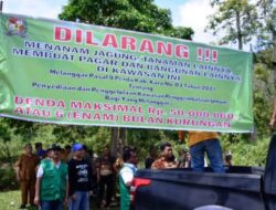 Tim Terpadu Pemkab Karo Pastikan Penggembalaan Nodi Ditertibkan