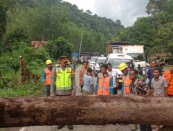 Pada Saat Patroli Kapolres Temukan Pohon Tumbang