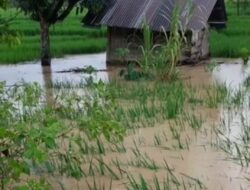 Banjir dan Longsor Melanda Simangumban, Puluhan Hektare Sawah Tergenang