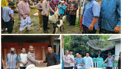 Polres Aceh Selatan Serahkan Hewan Qurban kepada Masyarakat