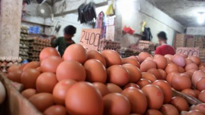 Kenaikan Harga Telur Membuat Omzet Pedagang Turun