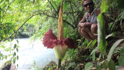 Batu Katak, Wisata Bunga Langka dan Hewan Liar