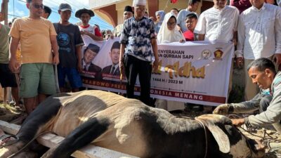 Rayakan Idul Adha 1444 H, Partai Gerindra Bagikan 20 Hewan Kurban di Tabagsel