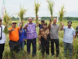 Hadiri Panen Raya di Mencirim, Petani Doakan Afandin Pimpin Langkat 2024 – 2029