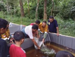 PT SMGP dan Kelompok Saba Kopi Sebar Benih Lele 10.600 Ekor
