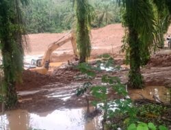 Penambang Emas Ilegal Memakai Ekskavator Di Desa Muara Bangko Kecamatan Ranto Baek Madina Disinyalir Kebal Hukum