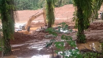 Penambang Emas Ilegal Memakai Ekskavator Di Desa Muara Bangko Kecamatan Ranto Baek Madina Disinyalir Kebal Hukum