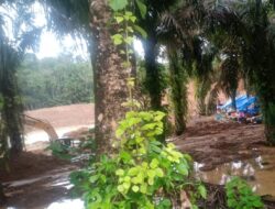 Aktivis FJA se-Pantaibarat Temukan Penambang Emas Diduga Ilegal di Desa Muara Bangko Kecamatan Ranto Baek Madina