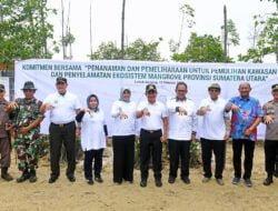 Pemprov Sumut Tanam 10 Ribu Bibit Mangrove
