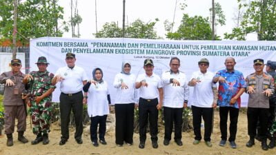 Pemprov Sumut Tanam 10 Ribu Bibit Mangrove