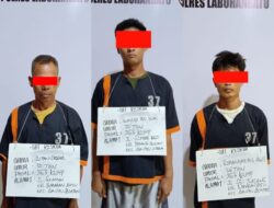 Polres Labuhanbatu Tangkap 3 Pencuri Kerbau, Tiga DPO