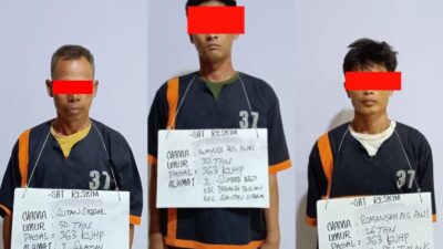 Polres Labuhanbatu Tangkap 3 Pencuri Kerbau, Tiga DPO