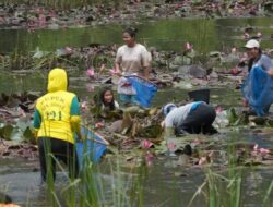 Bupati Karo Panen Ikan Bersama Warga di Tambak Mbelang Desa Susuk