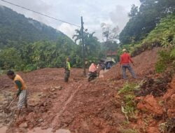 Selain Longsor, Angin Kencang Tumbangkan Pohon di Aceh Selatan