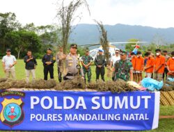 Kapoldasu dan Pangdam I/BB Berburu Ladang Ganja Terluas di Sumatera