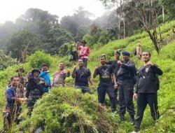 Tim Gabungan TNI-POLRI dan BNN Temukan 1 Hektare Ladang Ganja