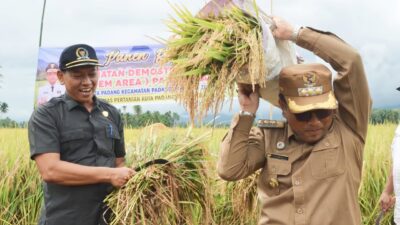 Pj. Walikota Padangsidempuan Panen Raya di Desa Huta Padang