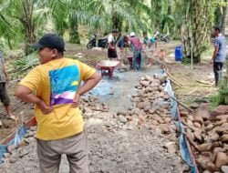 Pemdes Sayur Mahincat Bangun Rabat Beton Jalan Usaha Tani