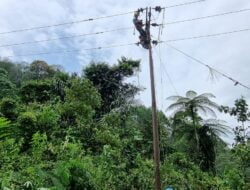 PLN Berhasil Pulihkan Kelistrikan Kabupaten Mandailing Natal Pasca Tanah Longsor