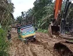 Jalan Poros di Desa Bagian Selatan Batahan Rusak Parah