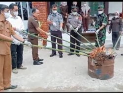 Cabjari Madina Musnahkan Barang Bukti Rampasan Periode Januari 2023