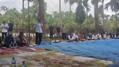 Atasi Harga Meroket, Pemkab Asel Tanam Cabe Merah untuk Warga Miskin