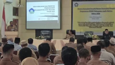 Program Aceh Selatan, Cut Syazalisma : Ekonomi dan Infrastruktur