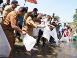 Bupati Karo Tebar 110 Ribu Benih Ikan Nila di Mbelang Susuk