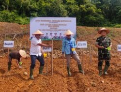 Lahan Kosong, Kejari Galakkan Tanam Padi Sigupai Ikon Abdya