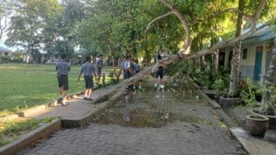 Kepala SMPN1 Beringin Dikecam karena Kondisi Sekolah Terlantar