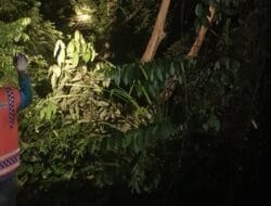 PLN Tapaktuan Inspeksi Jaringan Jaga Kehandalan Listrik