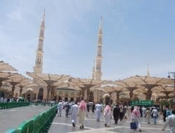 Waspadai MERS-COV, Jemaah Haji Mesti Hindari Kontak dengan Unta