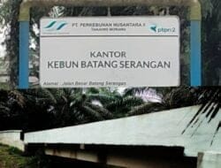Soal Izin Pengalihan Jembatan di PTPN II Langkat, Manager – Kontraktor ‘Buang Badan’