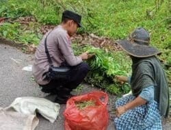 Bhabinkamtibmas Polsek Tapaktuan Bagikan Sayuran Gratis kepada Warga