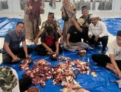 Dinas Pendidikan Deliserdang Rayakan Idul Adha dengan Berkurban 18 Lembu