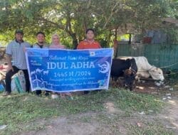Idul Adha 1445 H, PLN Indonesia Power Bagikan 1100 Bungkus Daging Kurban