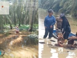Diduga Terapkan Pola “Perbudakan”, Korwil SERBUNDO Riau Minta Disnaker Tindak PT APSL