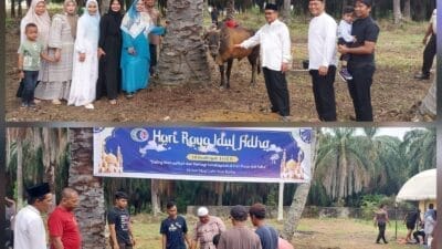PT CMN Langsa Sembelih 5 Sapi Qurban Idul Adha 1445 H