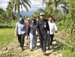 Dirjen PSP Kementrian Pertanian Kunjungan ke Madina