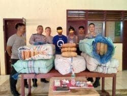 Polsek Batang Natal Polres Madina Gagalkan Pengiriman Ganja