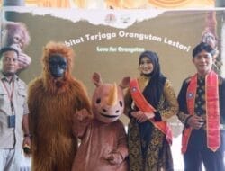 Peringatan Hari Orangutan Sedunia Bersama Taman Nasional Gunung Leuser