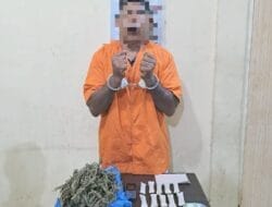 Polres Langkat Sita Ratusan Gram Ganja dari Penangkapan