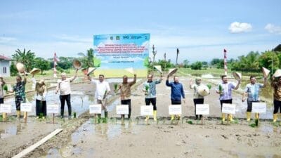 Dorong Sinergi Ketahanan Pangan, Sekda Amril Harapkan Petani Produktif