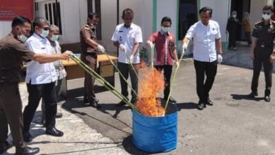 Kacabjari Aceh Selatan di Bakongan Musnahkan BB Narkotika