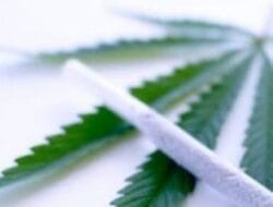 Personil Polsek Natal Ciduk Terduga Pengguna Ganja